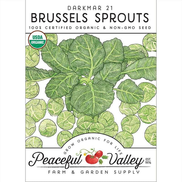 Organic Darkmar 21 Brussels Sprouts Seeds For Planting