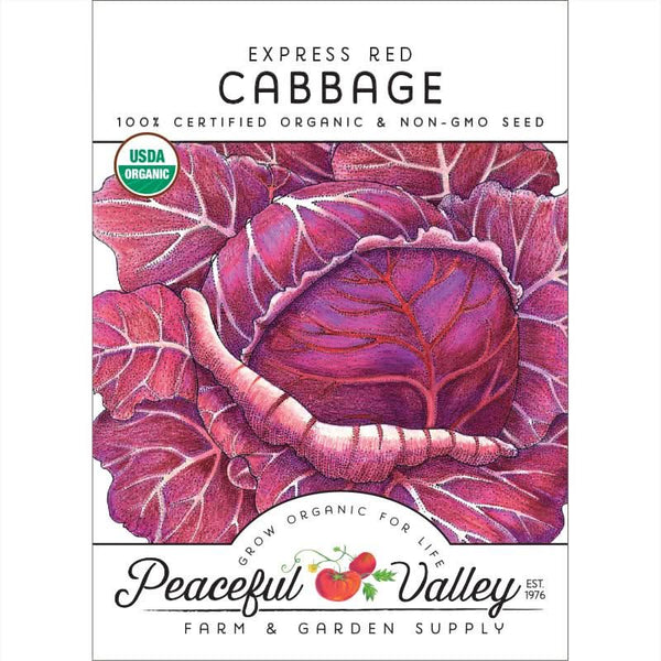 Organic Express Red Cabbage Seeds For Planting