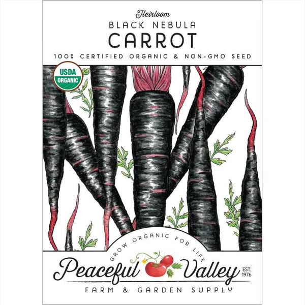 Organic Black Nebula Carrot Seeds For Planting