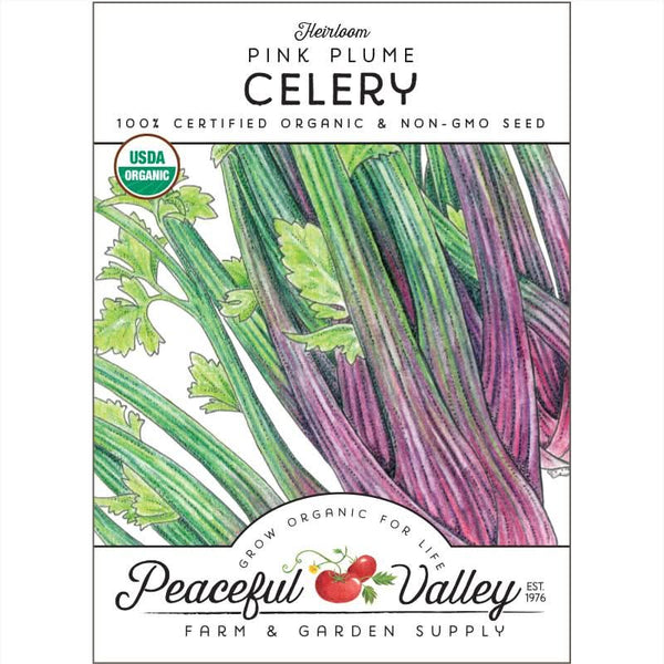 Organic Pink Plume Celery Seeds For Planting