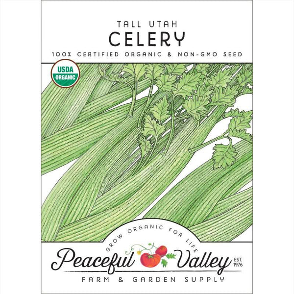 Organic Tall Utah Celery Seeds For Planting