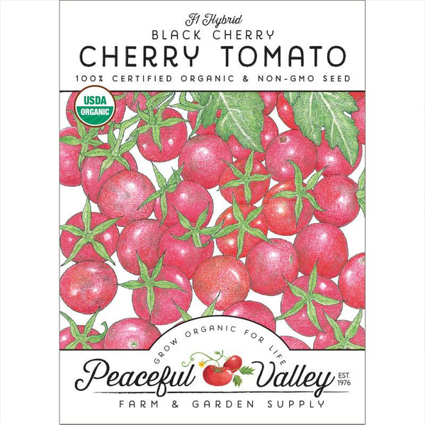 Organic Black Cherry Cherry Tomato Seeds For Planting