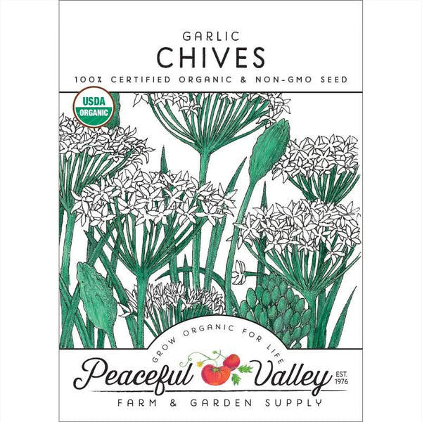 Organic Garlic Chives Seeds For Planting