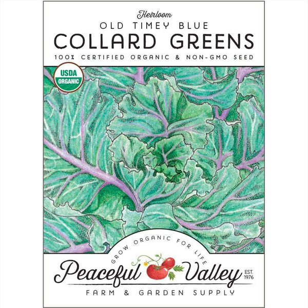 Organic Collard Old Timey Blue Greens Seeds For Planting