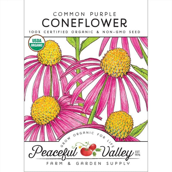 Organic Common Purple Coneflower Seeds For Planting