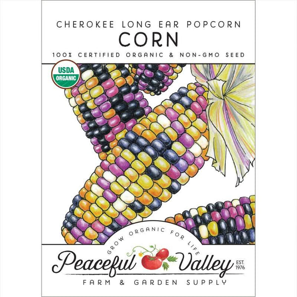 Organic Cherokee Long Ear Popcorn Corn Seeds For Planting