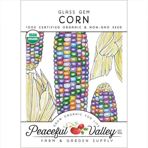 Organic Glass Gem Corn Seeds For Planting