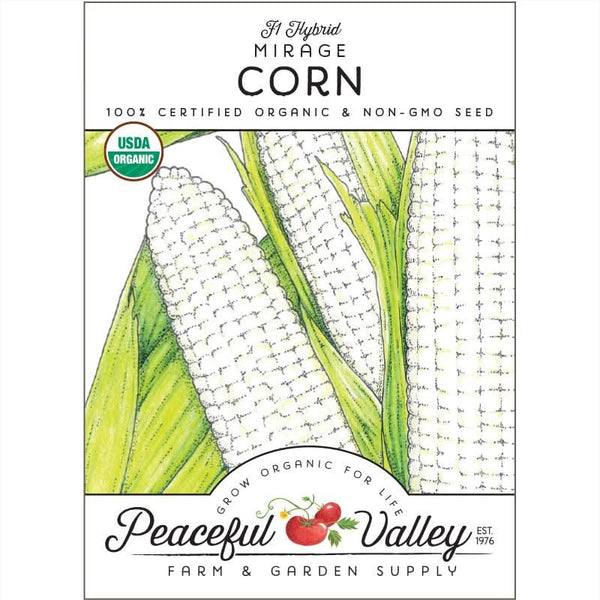 Organic Mirage Corn Seeds For Planting