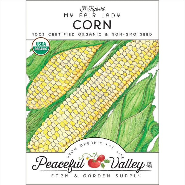 Organic My Fair Lady Corn Seeds For Planting