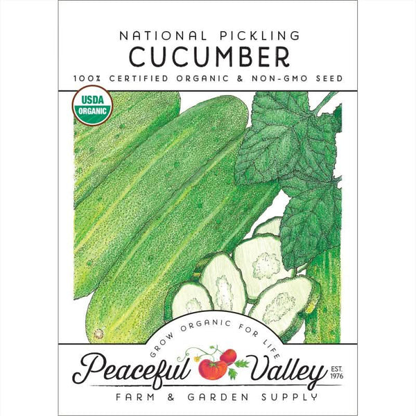 Organic National Pickling Cucumber Seeds For Planting