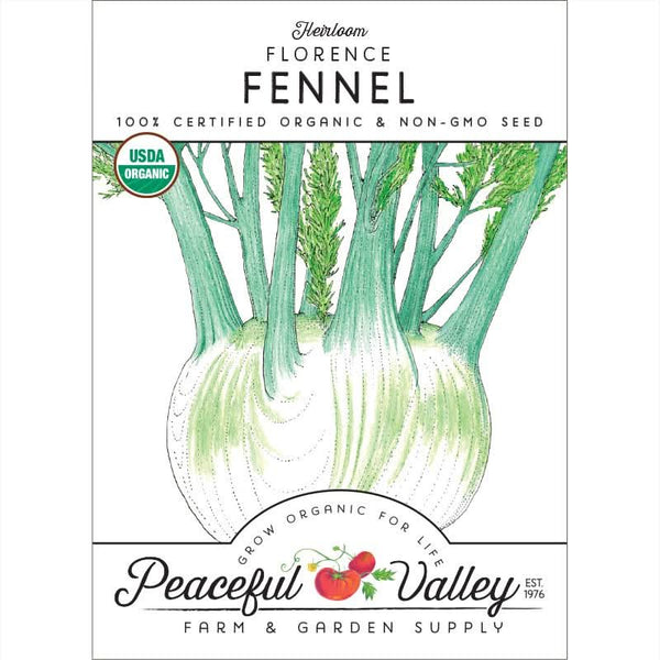 Organic Florence Fennel Seeds For Planting