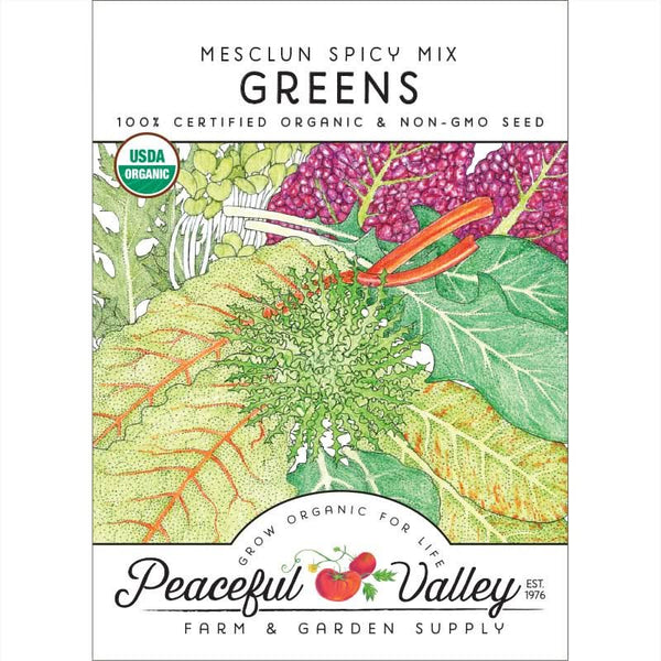 Organic Mesclun Spicy Mix Greens Seeds For Planting