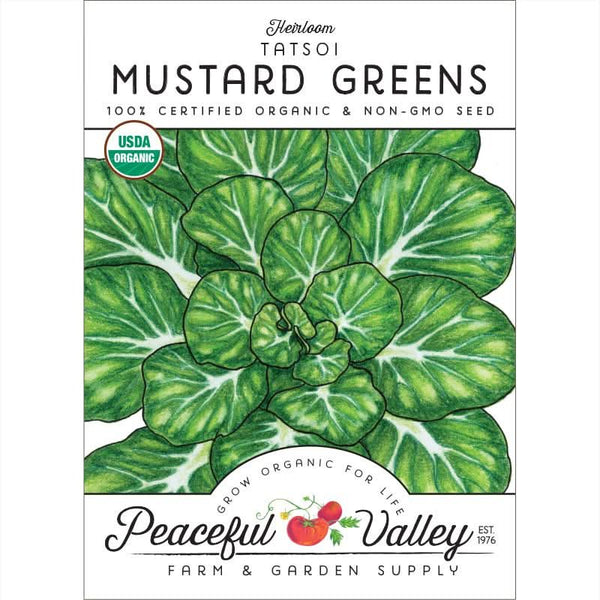 Organic Mustard Tatsoi Greens Seeds For Planting