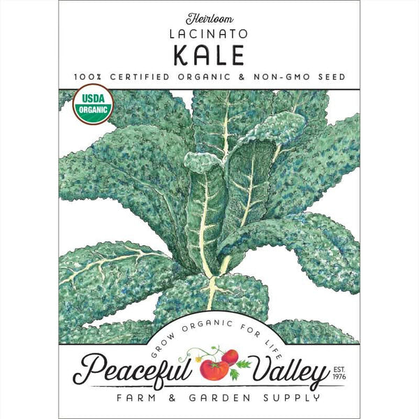 Organic Lacinato Kale Seeds For Planting