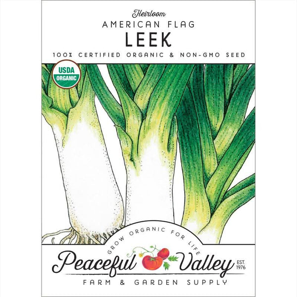 Organic American Flag Leek Seeds For Planting