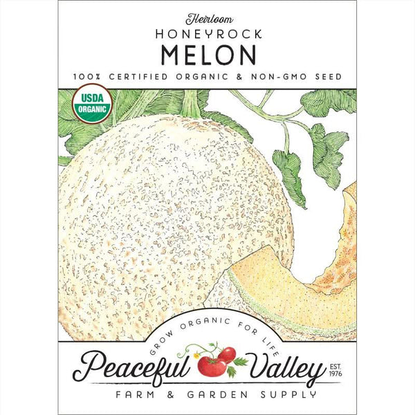 Organic Honeyrock Melon Seeds For Planting