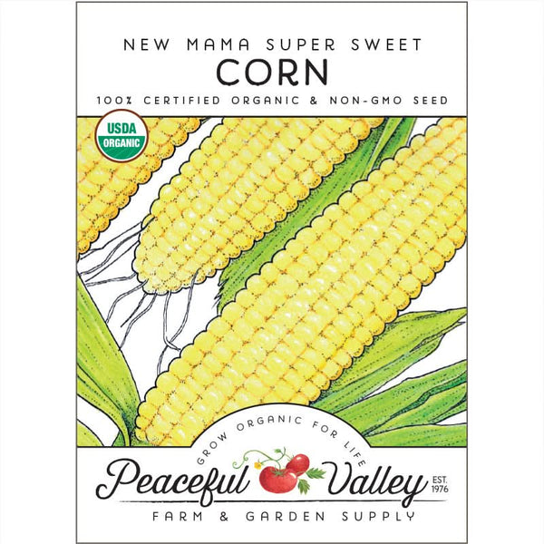 Organic Sweet New Mama Corn Seeds For Planting