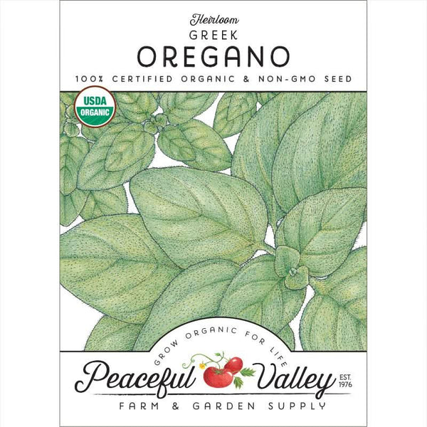 Organic Greek Oregano Seeds For Planting