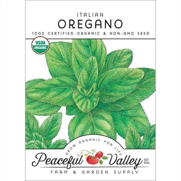 Organic Italian Oregano Seeds For Planting