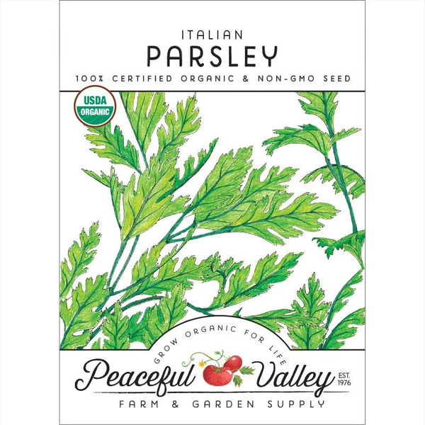 Organic Italian Parsley Seeds For Planting