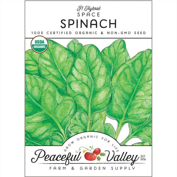 Organic Space Spinach Seeds For Planting