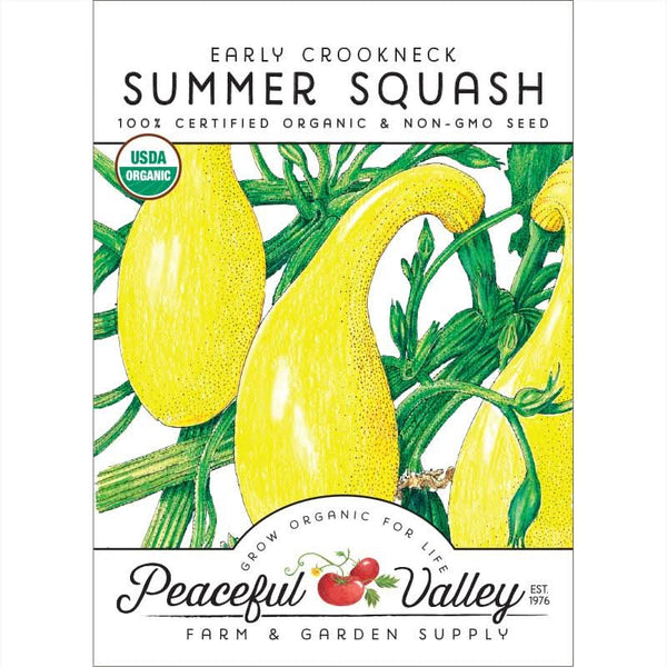 Organic Early Crookneck Summer Squash Seeds For Planting