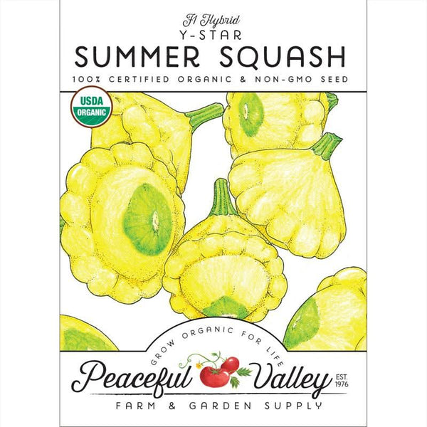 Organic Y-Star Summer Squash Seeds For Planting