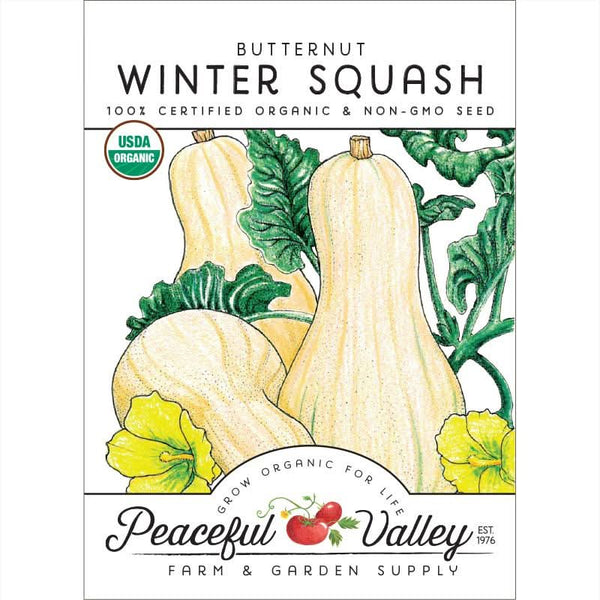 Organic Butternut Winter Squash Seeds For Planting