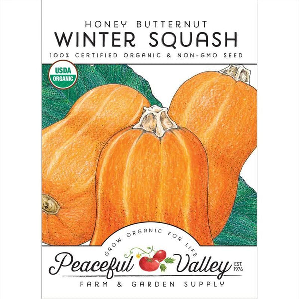 Organic Honey Butternut Winter Squash Seeds For Planting