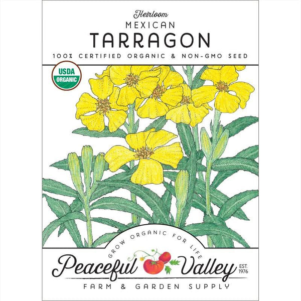 Organic Mexican Tarragon Seeds For Planting