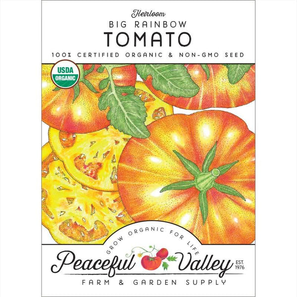 Organic Big Rainbow Tomato Seeds For Planting