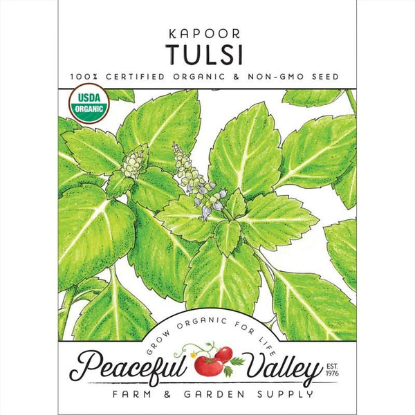 Organic Kapoor Tulsi Seeds For Planting