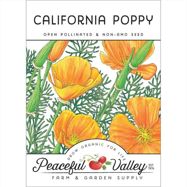 Organic California Golden Poppy Seeds For Planting (pack)