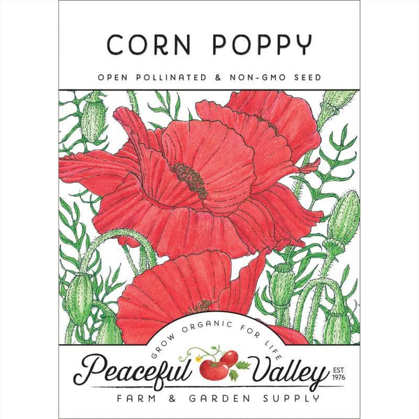 Organic Corn Poppy