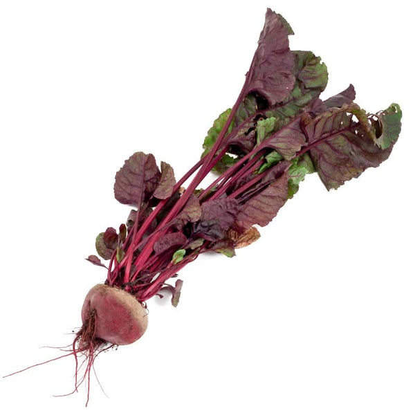 Organic Bull's Blood Beet Seeds For Planting