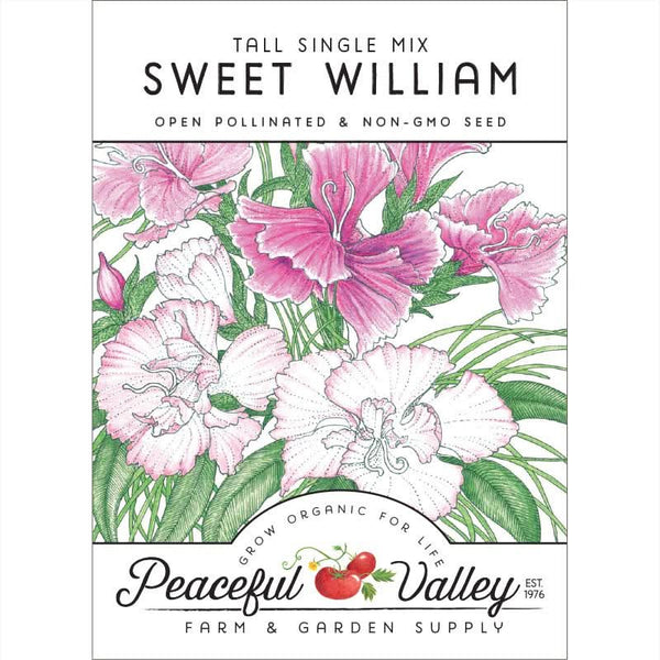 Organic Sweet William Seeds For Planting (pack)