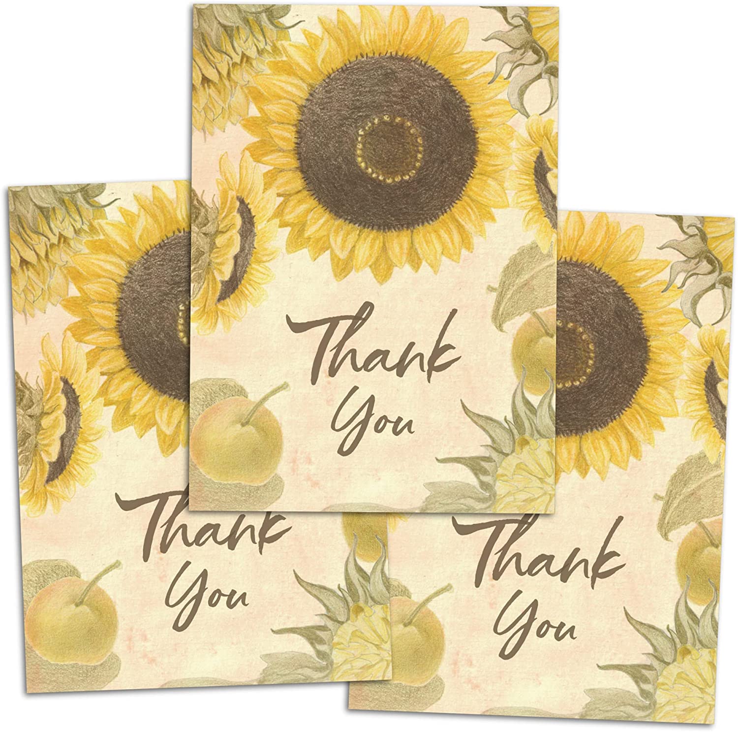 Sunflower Seed Packet Favors (FAV-025) Thank You – Seed Needs LLC