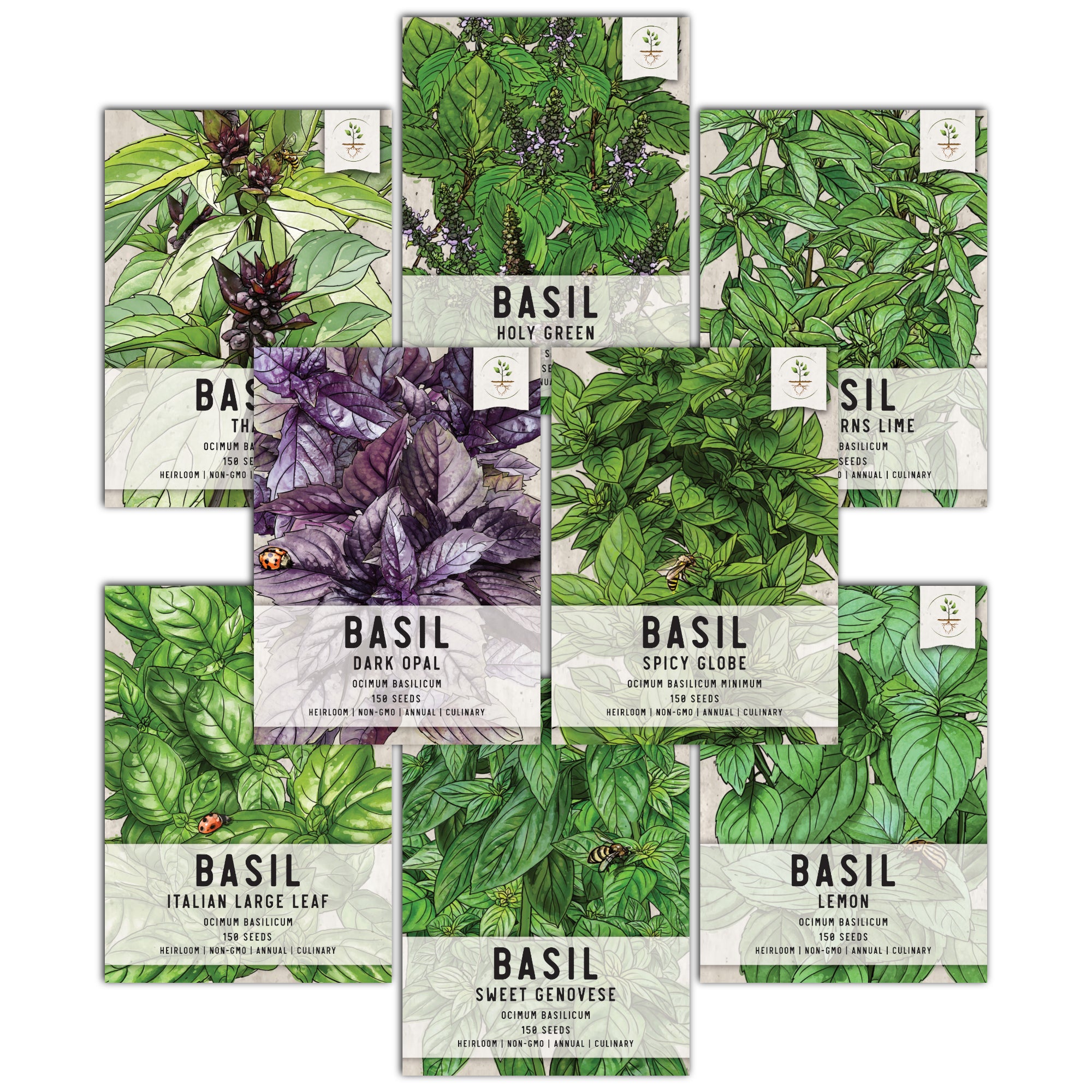 Basil Herb Seed Collection Seed Neds Seed Needs LLC