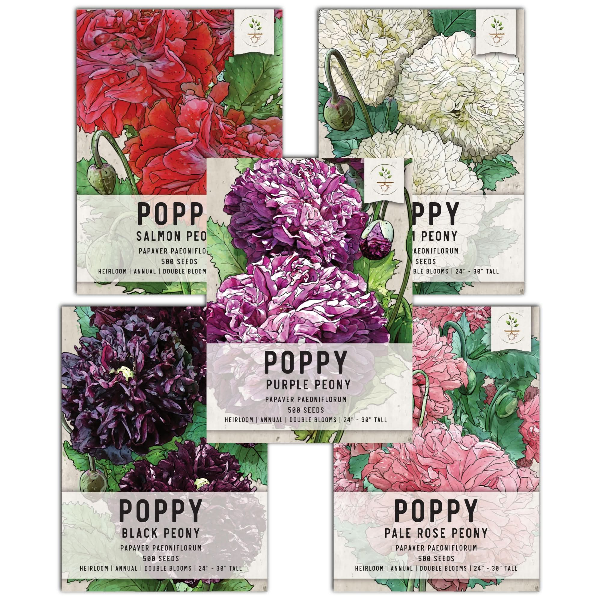 Poppy Seeds For Planting (Papaver) - Seed Needs – Seed Needs LLC