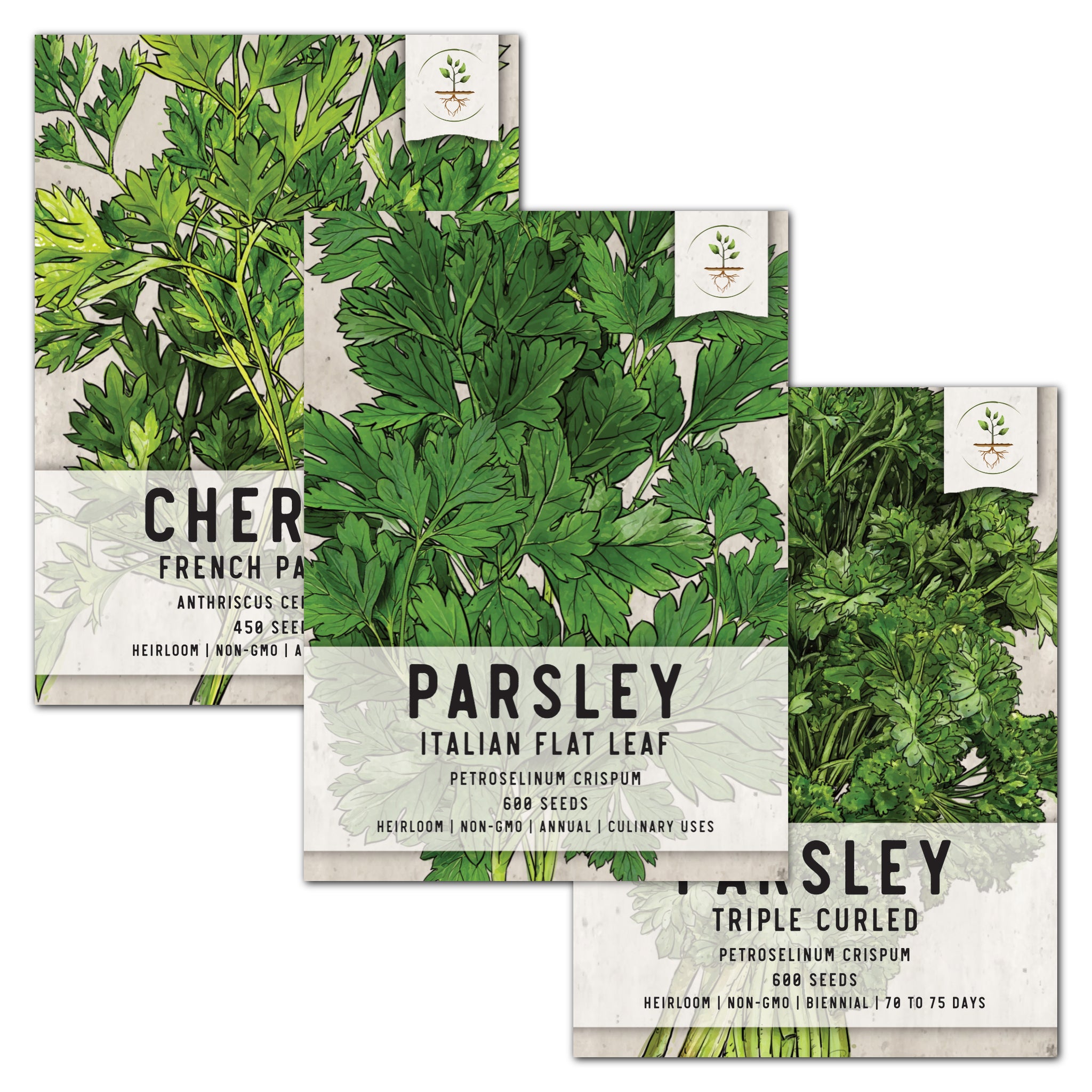 Véritable LINGOT ruffled parsley seed pack