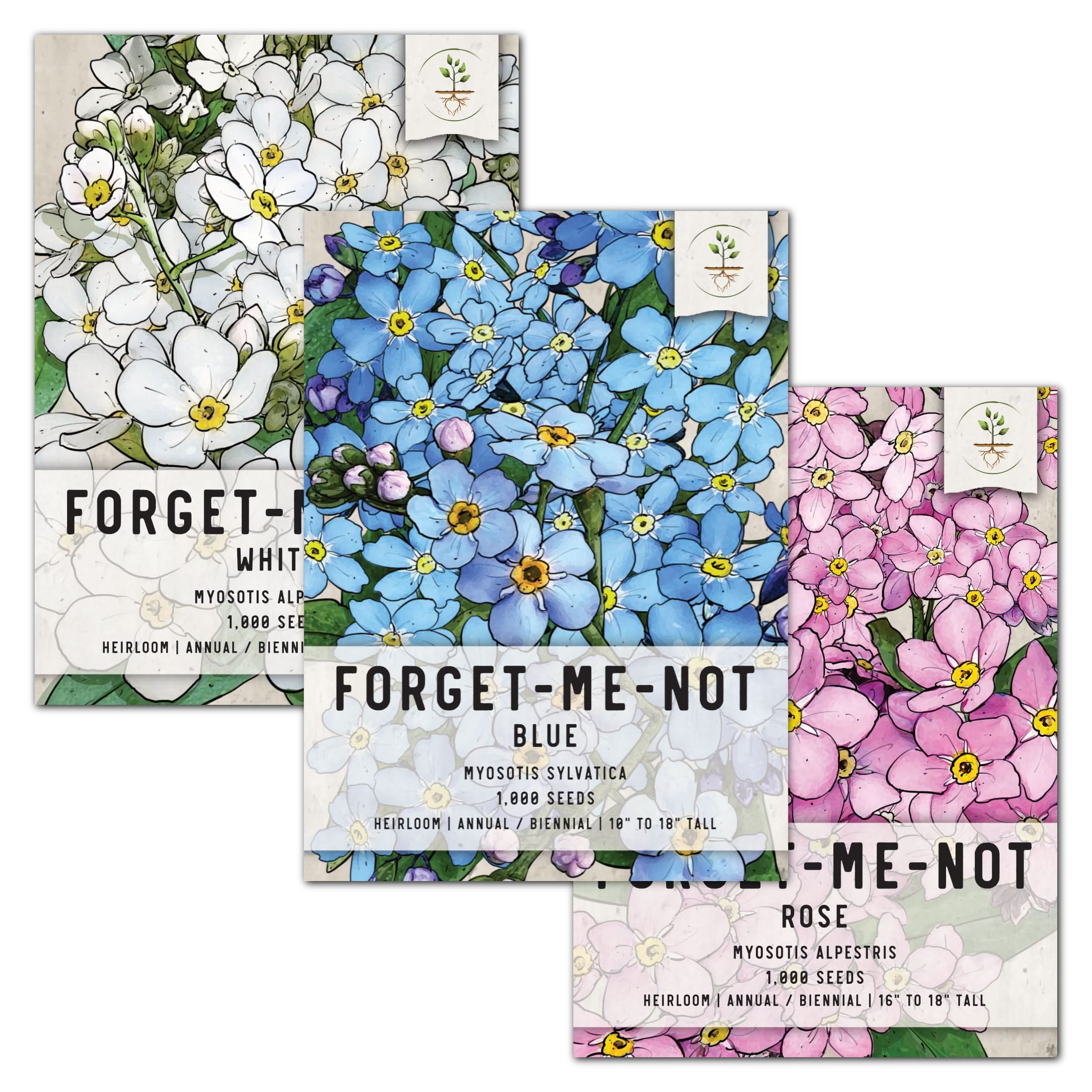 Forget Me Not Seeds Spilled Seed Stock Photo 1362026297