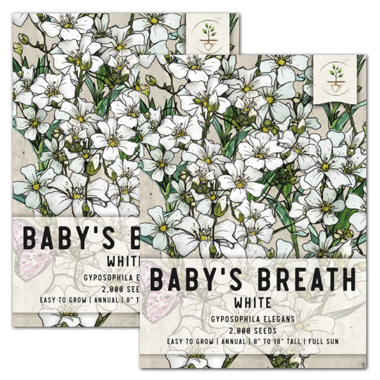 Baby's Breath Seeds - Annual Flowers - Burpee