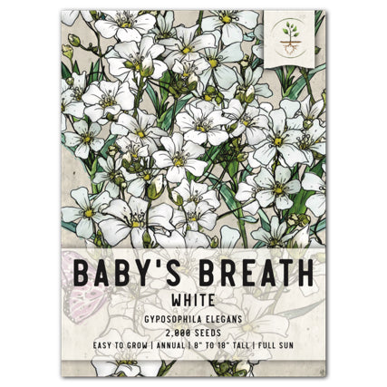 Bulk Gypsophila Baby's Breath Seeds - 25, 50, 100 Packs - Great