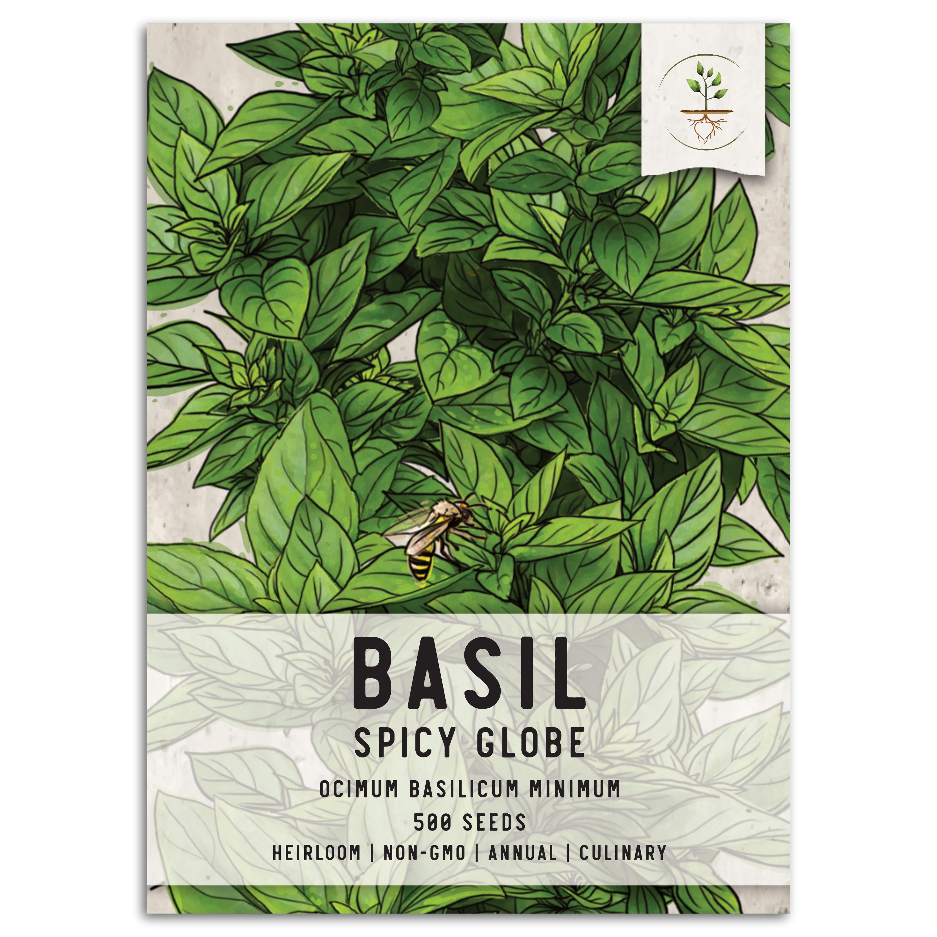 Spicy Globe Basil Seeds For Planting Ocimum basilicum Seed