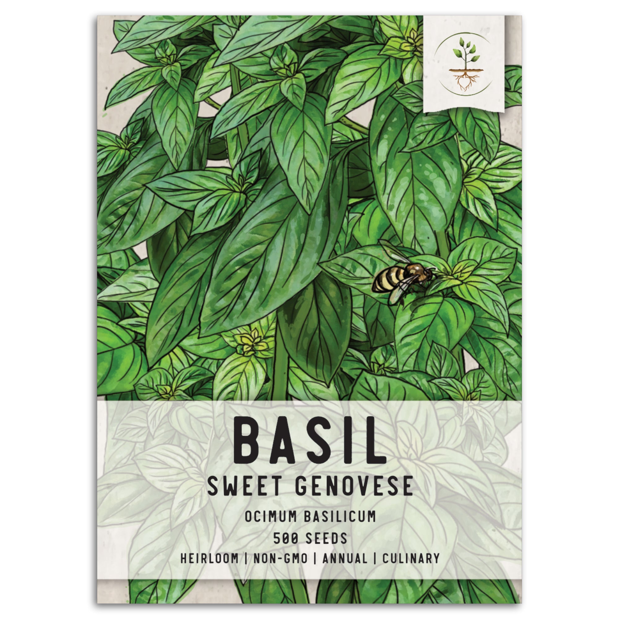 Sweet Basil Herb Seeds For Planting Ocimum basilicum Seed