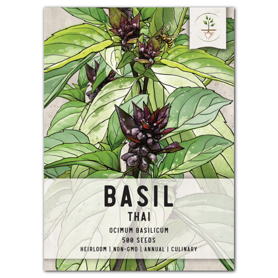 Thai Basil Seeds For Planting Ocimum basilicum