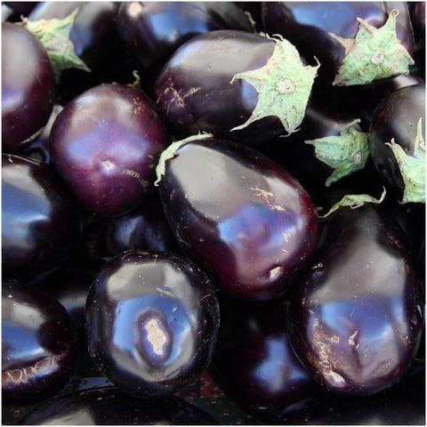Berenjena - Black Beauty - 210 semillas - Solanum melongena – Garden Seeds  Market
