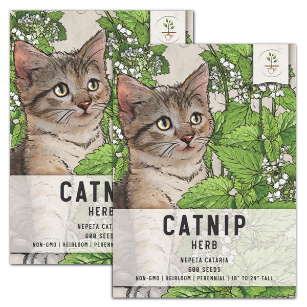 Catnip (Nepeta Cataria), 50+ Seeds, Catmint, Herb