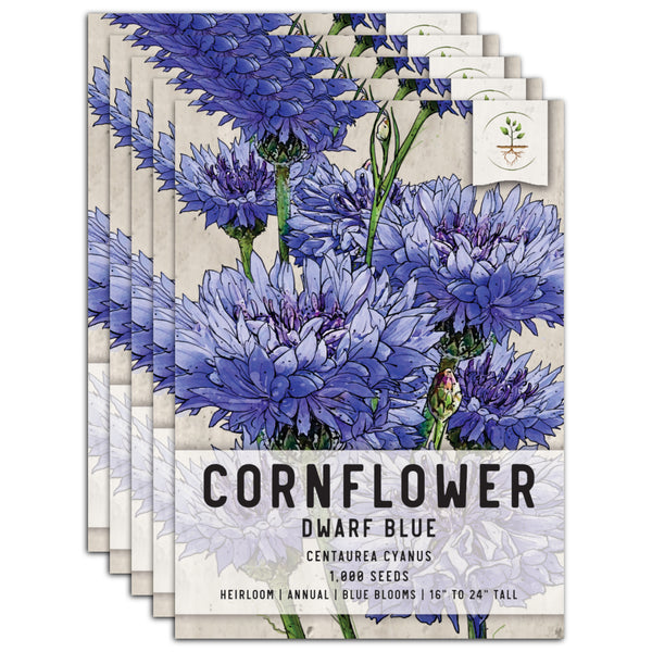 Blue Cornflower Seeds, Centaurea Cyanus - 1/4 lb + Bulk Sizes