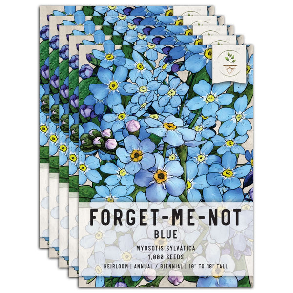 200 Forget Me Not Seeds-myosotis Sylvatica Seeds-blue Forget Me Not-b648-easy  to Grow Excellent Perennial -  Israel